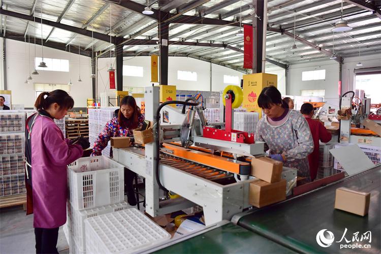 联农带农益农，打通致富新路径——江西莲花县农产品企业借助“网红助农”与仓储模式跑出振兴加速度